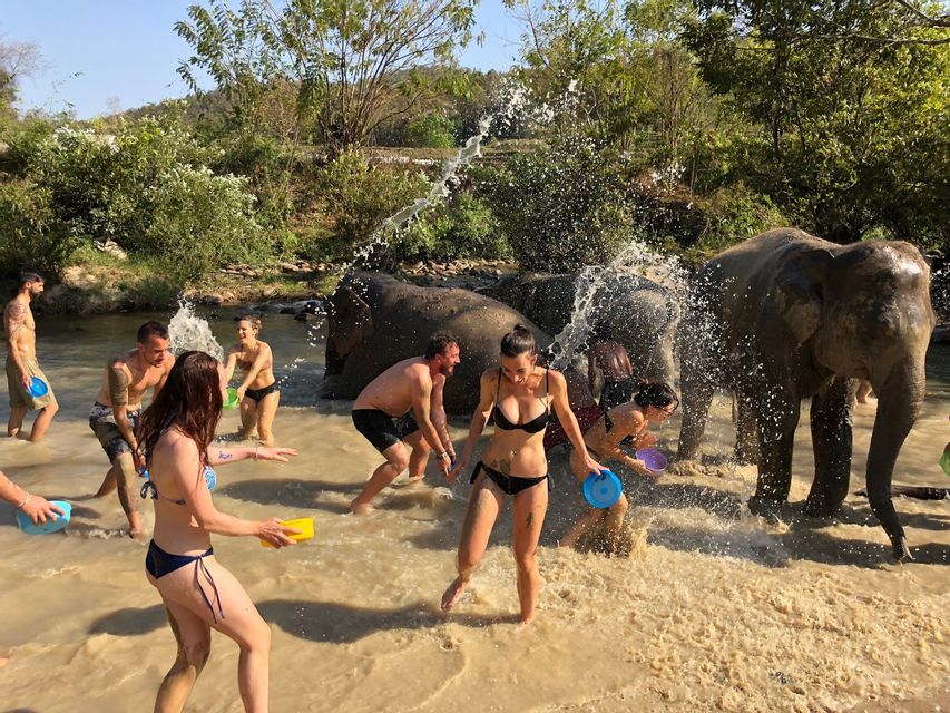 WeRoad Gruppenreise: Elefanten spielen und spritzen Wasser in einem flachen, schlammigen Fluss.