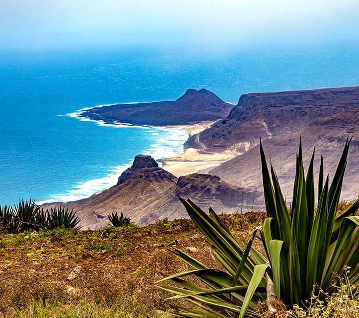 Blick von oben auf eine zerklüftete Küste mit Sandstrand an einem strahlend blauen Meer und einer grünen, stacheligen Pflanze im Vordergrund.
