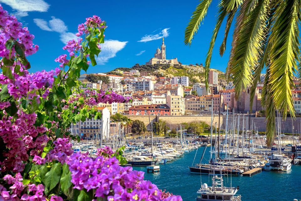 Fiori viola e una foglia di palma incorniciano una vista soleggiata di un porto cittadino con barche ormeggiate e una basilica su una collina.
