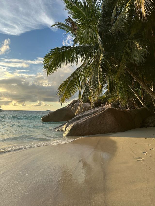 Una spiaggia sabbiosa con grandi rocce e palme a strapiombo accanto all'acqua turchese dell'oceano sotto un cielo nuvoloso.