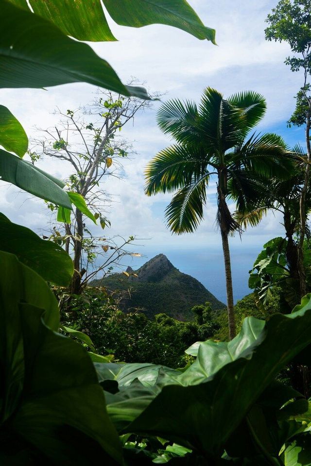 Una cima montuosa verde e conica si erge sull'oceano, osservata da un punto panoramico nella giungla, incorniciata da grandi foglie e palme.