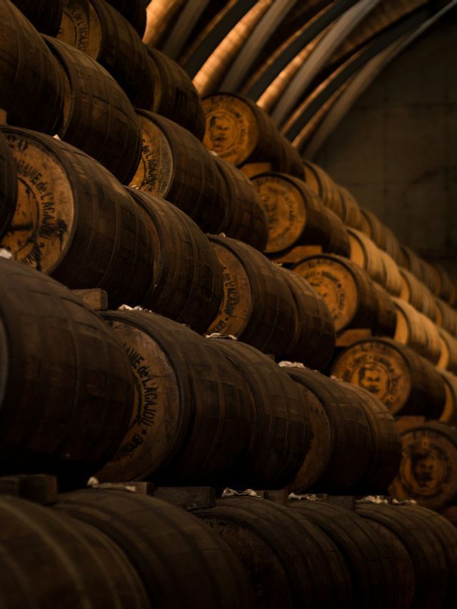 Botti di legno scuro allineate in file ordinate all'interno di una cantina di distilleria in penombra, con soffitto ad arco.