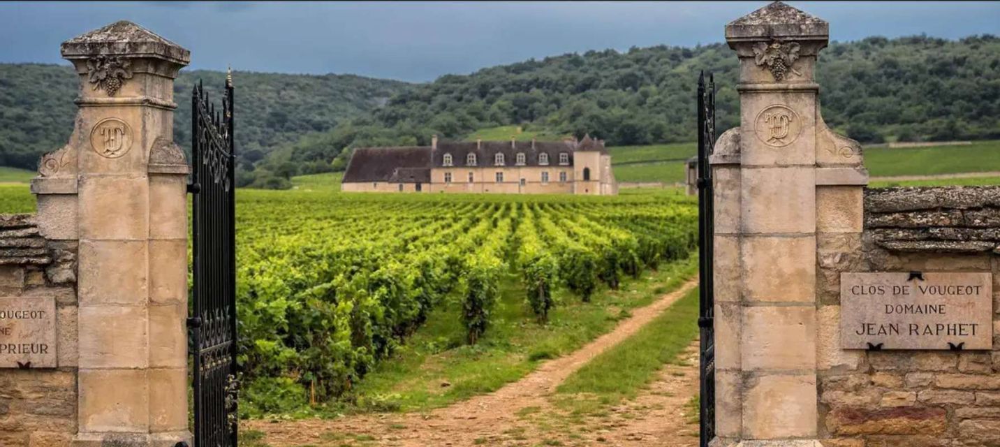 Una vista attraverso i pilastri decorati in pietra di un vigneto che conduce a un lontano castello ai piedi di verdi colline.