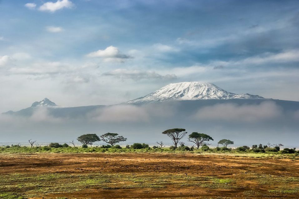 Una cima montuosa innevata si erge sopra uno spesso strato di nuvole, dominando una vasta savana punteggiata da alberi di acacia.