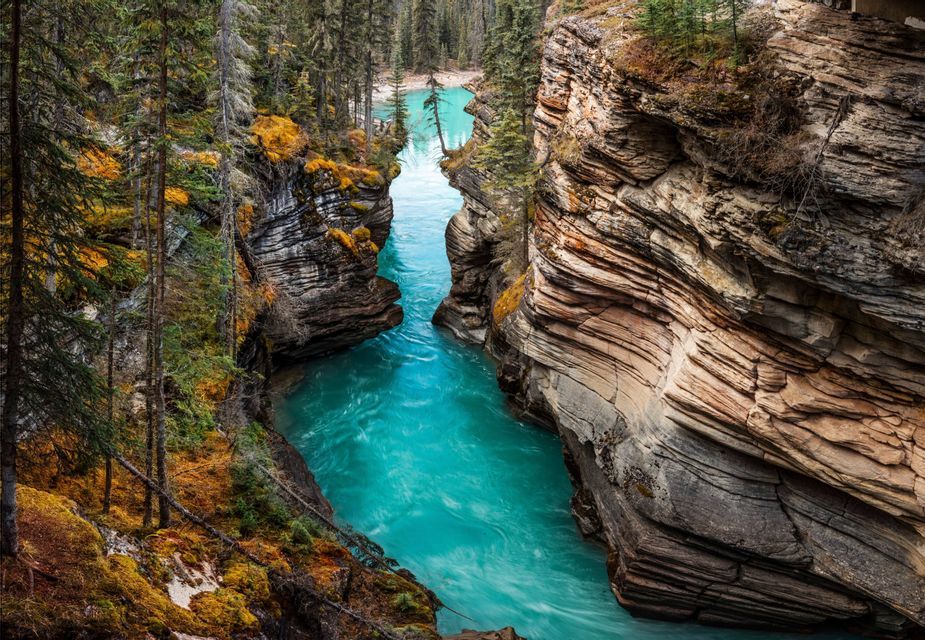 Un fiume turchese scorre attraverso un canyon stretto, fiancheggiato da ripide pareti rocciose stratificate e coronato da una fitta pineta.