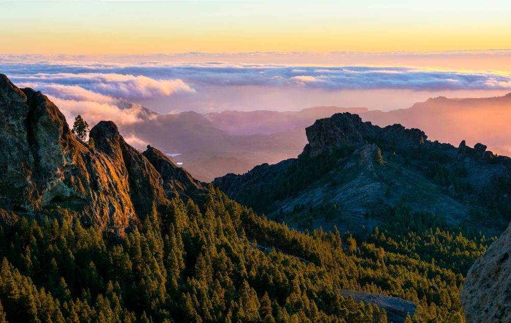 Vette montuose rocciose ricoperte di pini si innalzano sopra un mare di nuvole al tramonto.