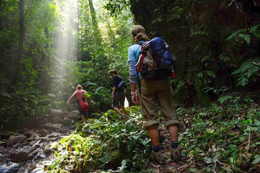 Un viaggio di gruppo WeRoad fa trekking su un sentiero roccioso attraverso una giungla lussureggiante mentre i raggi del sole filtrano tra gli alberi.