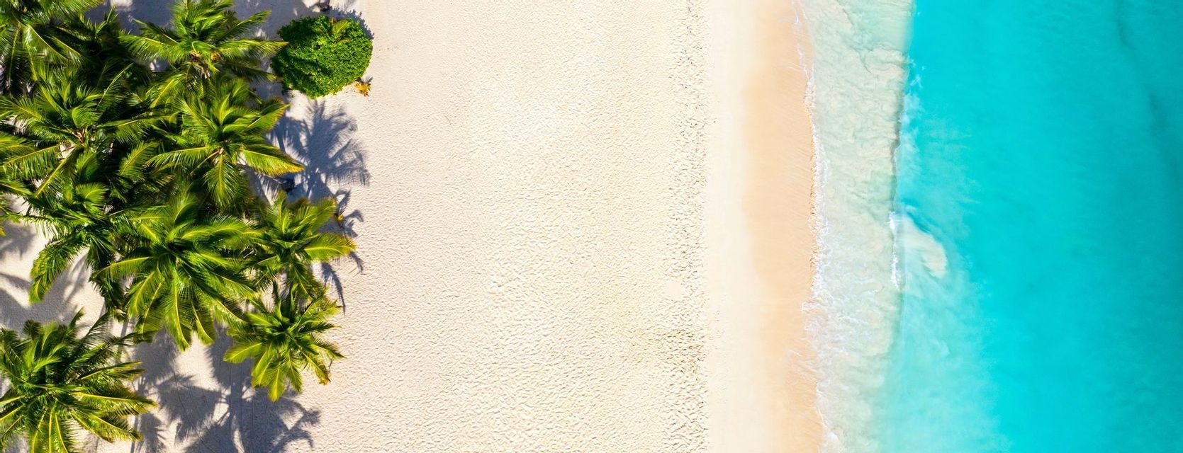 Eine Luftaufnahme eines tropischen Strandes mit Palmen, weißem Sand und klarem türkisfarbenem Wasser unter blauem Himmel.