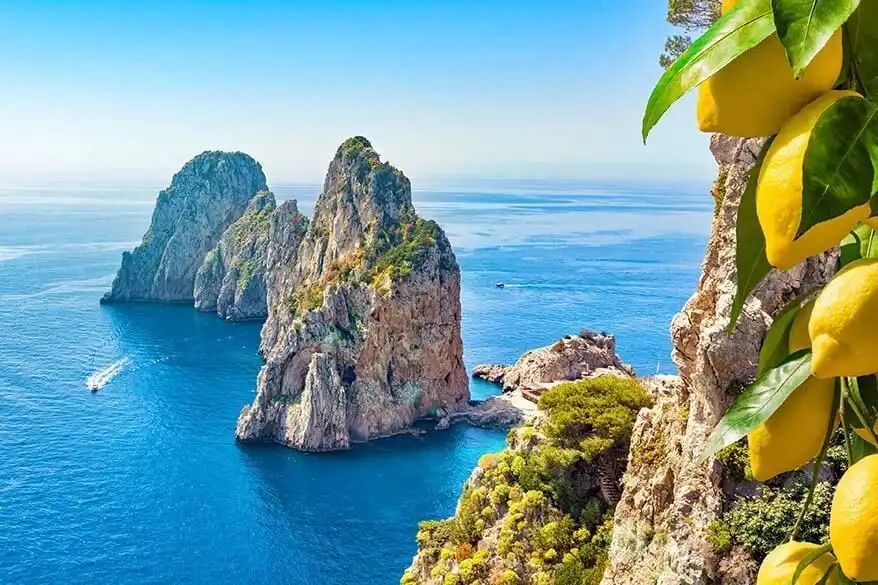A close-up of lemons on a branch overlooking two large rock formations rising from a bright blue sea under a clear sky.