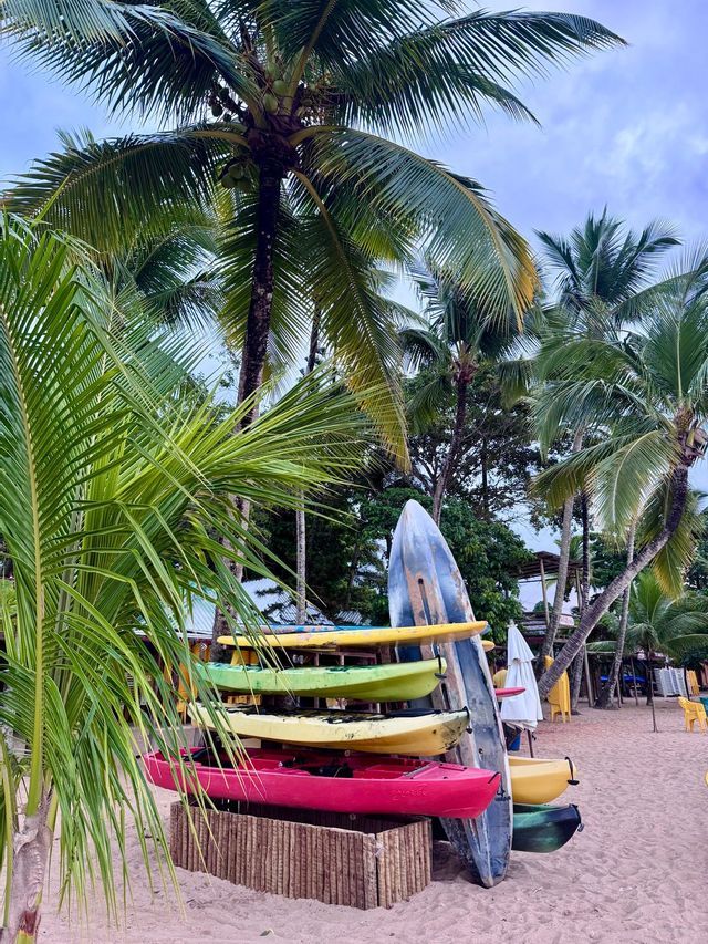 Kayak colorati e una tavola da surf sono impilati su una rastrelliera di legno su una spiaggia sabbiosa circondata da palme.