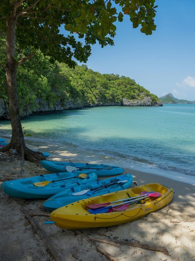 Quattro kayak colorati con pagaie riposano su una spiaggia sabbiosa, accanto all'acqua turchese e a un litorale alberato.
