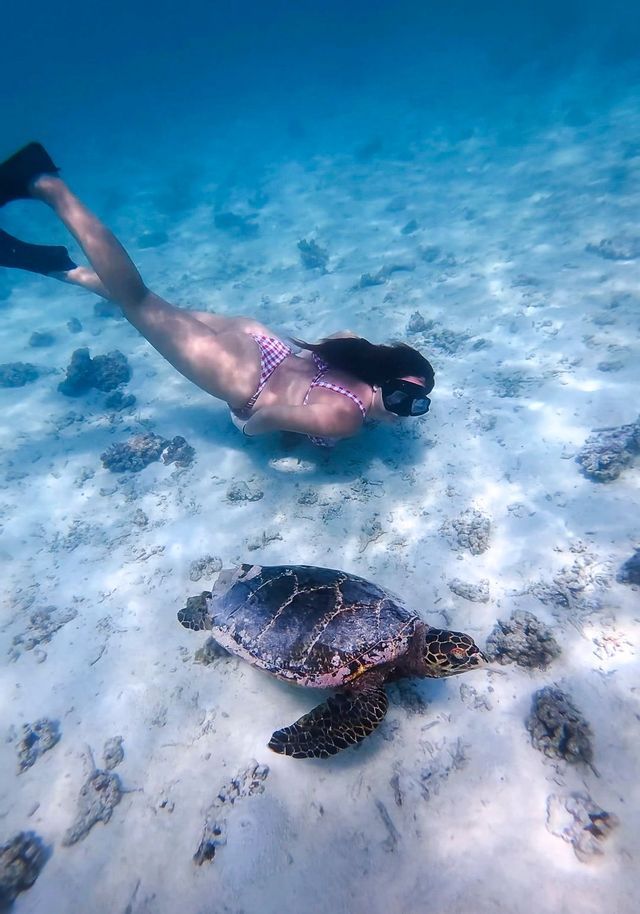 Una donna con maschera da snorkeling e pinne nuota sott'acqua accanto a una grande tartaruga marina sopra un fondale sabbioso.
