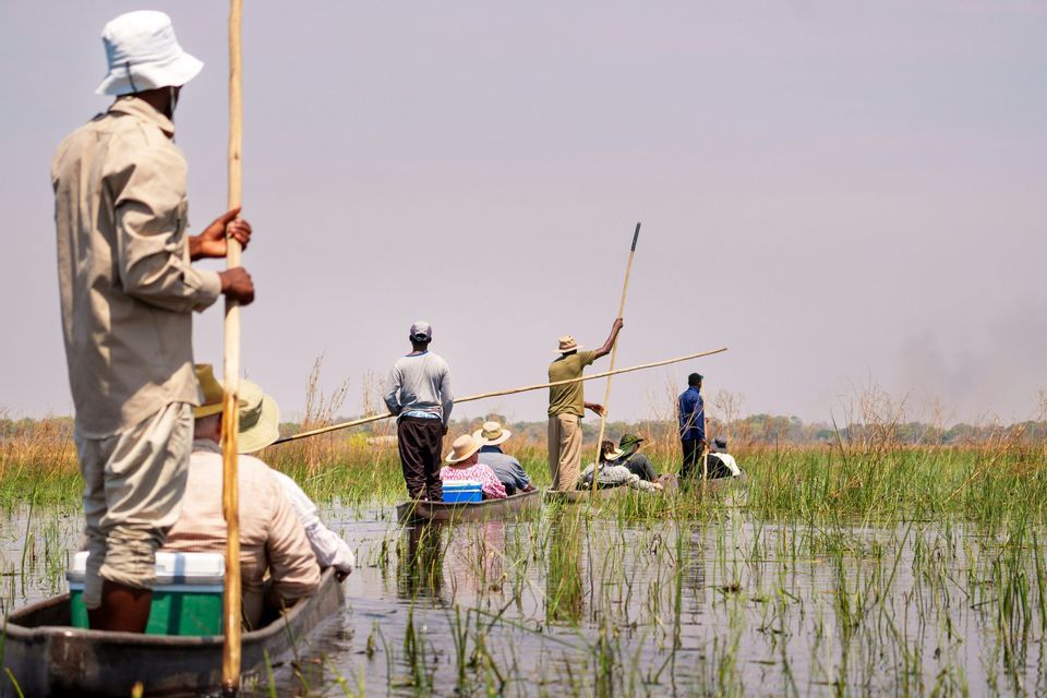Eine WeRoad-Gruppenreise erkundet ein grasbewachsenes Feuchtgebiet in Mokoro-Kanus, gesteuert von lokalen Guides.
