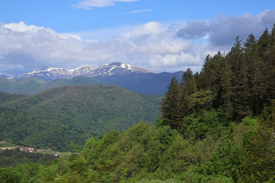 Eine weite Landschaft mit sanften, grünen, bewaldeten Hügeln und einer fernen, schneebedeckten Bergkette unter einem teilweise bewölkten blauen Himmel.