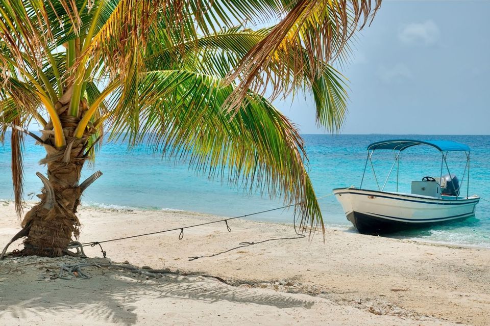 Ein kleines Boot mit blauem Verdeck ist an einer Palme an einem weißen Sandstrand neben türkisfarbenem Wasser festgebunden.