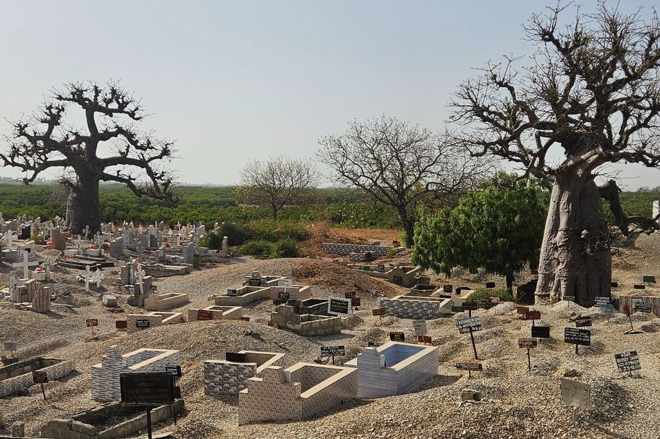 Ein Friedhof am Hang mit zahlreichen Gräbern und Grabsteinen, gelegen zwischen zwei großen, blattlosen Baobab-Bäumen und Grün im Hintergrund.