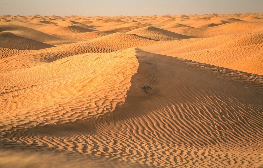 Dune di sabbia dorata, con increspature modellate dal vento, si estendono su un vasto paesaggio desertico sotto un cielo velato.