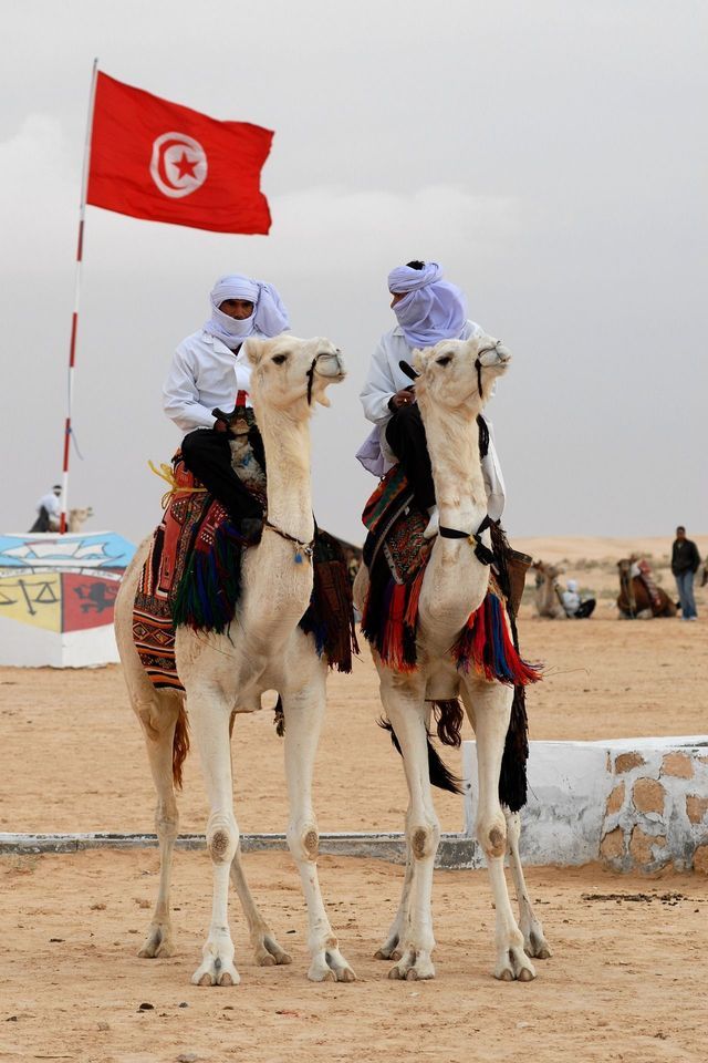 Dos hombres con atuendos tradicionales blancos montados en dos camellos blancos en un desierto, con una bandera tunecina ondeando en un mástil detrás de ellos.