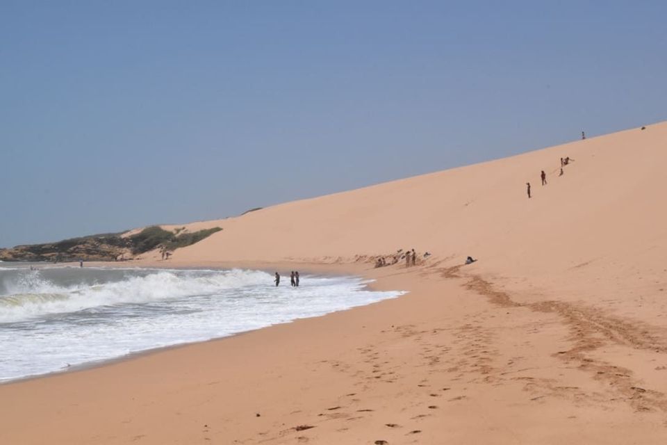 A WeRoad group trip on a vast beach, with people swimming in the ocean and walking up a large sand dune.