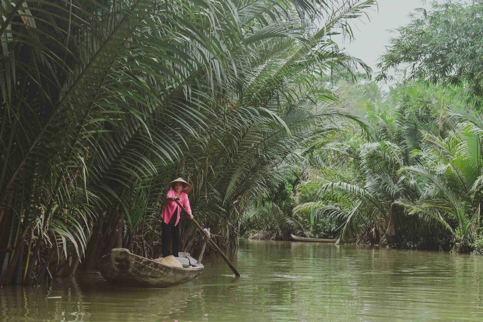 Una persona con un cappello conico e una camicia rosa rema su una piccola barca di legno su un fiume circondato da una lussureggiante vegetazione della giungla.
