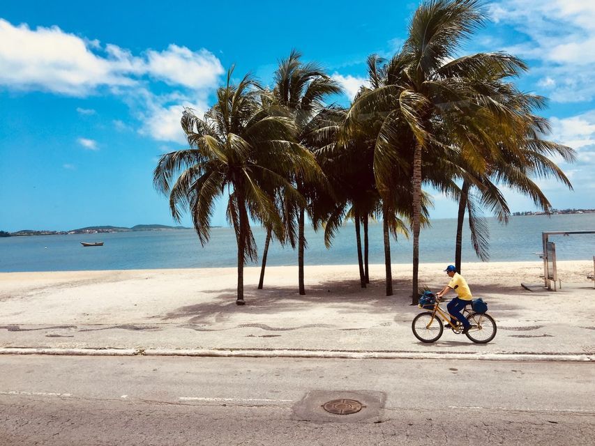 A person in a yellow shirt rides a bicycle on a road beside a sandy beach with tall palm trees under a blue sky.
