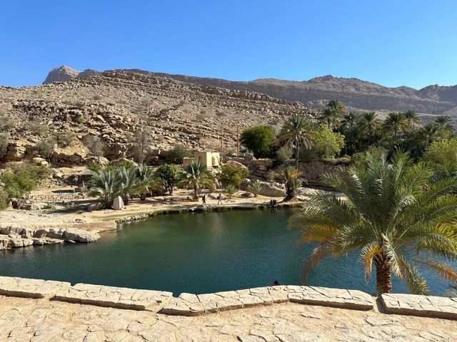 Una piscina naturale alla base di montagne rocciose, circondata da palme sotto un cielo azzurro e limpido.