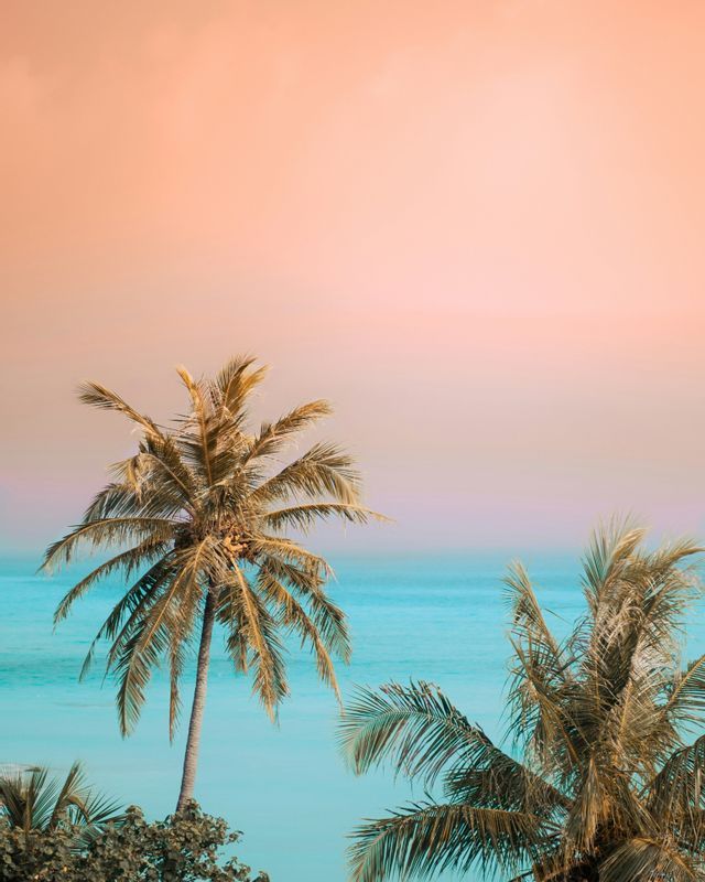 Two palm trees stand before a turquoise ocean under a pastel sky with pink and orange hues.