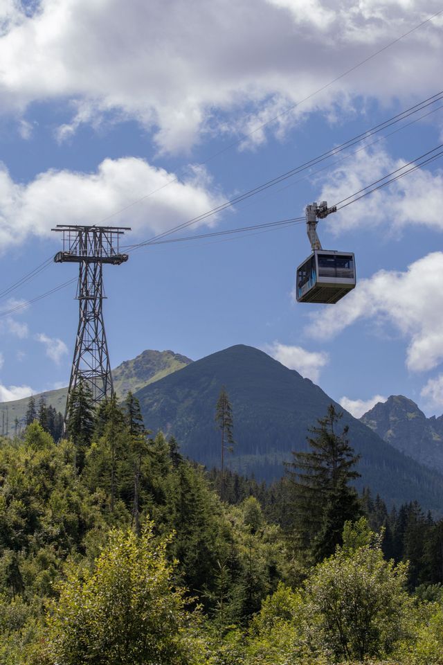 Un téléphérique circule sur ses câbles au-dessus d'une forêt verdoyante, avec un grand sommet de montagne visible sur un ciel partiellement nuageux.