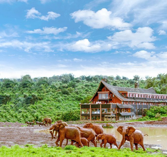 A herd of elephants, including calves, walks on a muddy bank beside a watering hole in front of a large lodge.