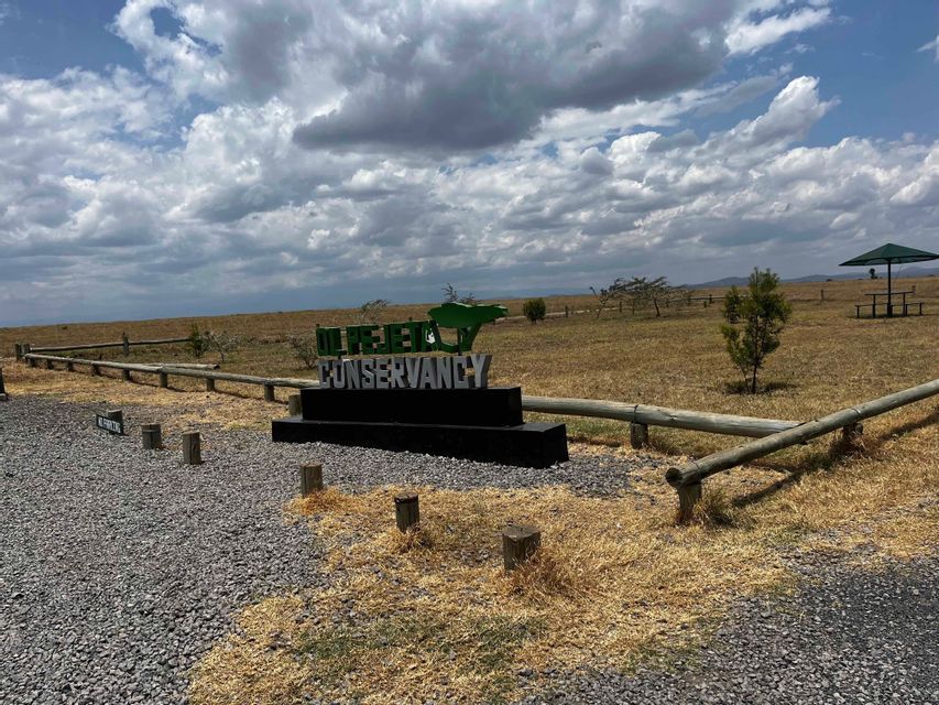 Le panneau d'entrée de l'Ol Pejeta Conservancy se dresse dans un champ sec et herbeux, bordé d'une clôture en bois, sous un ciel nuageux.