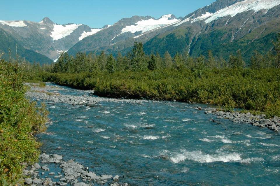 Un fiume azzurro e limpido scorre su un letto roccioso attraverso una foresta verde, con grandi montagne innevate sotto un cielo sereno.