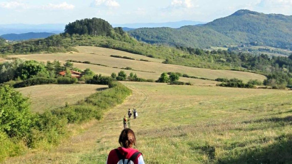 Vista da dietro un escursionista che osserva un viaggio di gruppo WeRoad camminare lungo un sentiero sterrato tra dolci colline verdi.