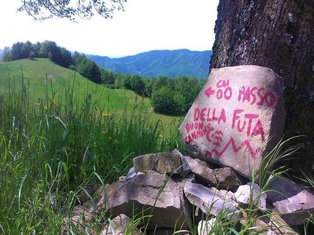Un segnavia in pietra per il 'Passo della Futa' è appoggiato a un albero in un paesaggio lussureggiante ed erboso, con montagne sullo sfondo.