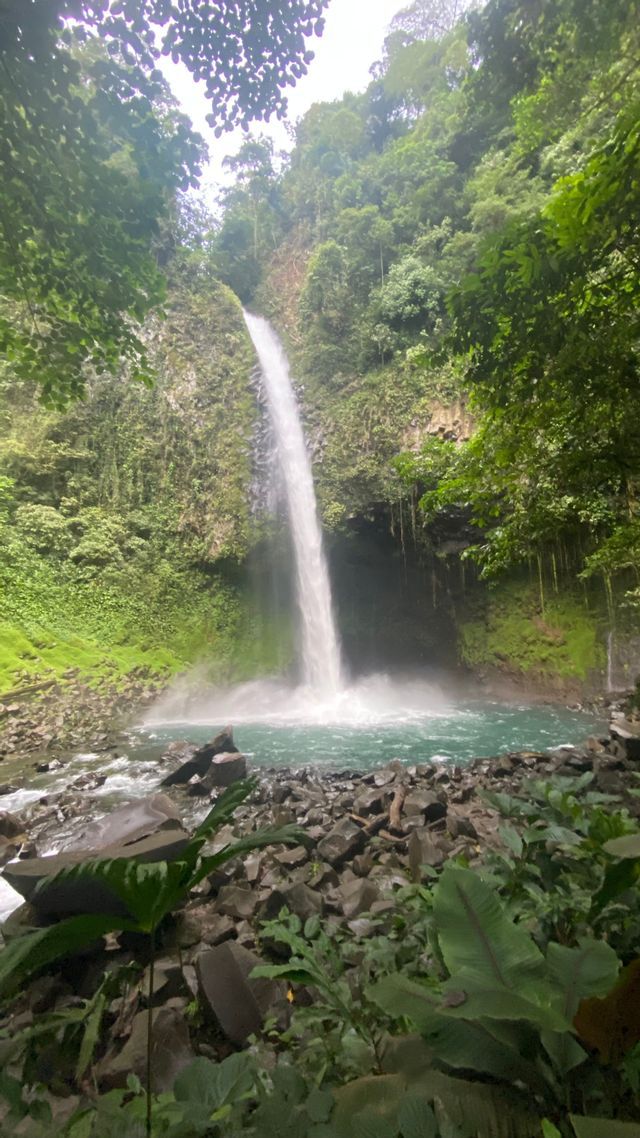 La Fortuna Waterfall La Fortuna Waterfall falling into its pool in the jungle, Costa Rica