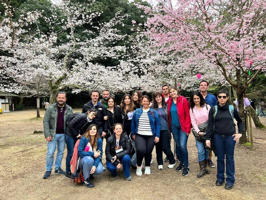 Un gruppo WeRoad in viaggio in posa per una foto in un parco con ciliegi rosa e bianchi in piena fioritura.