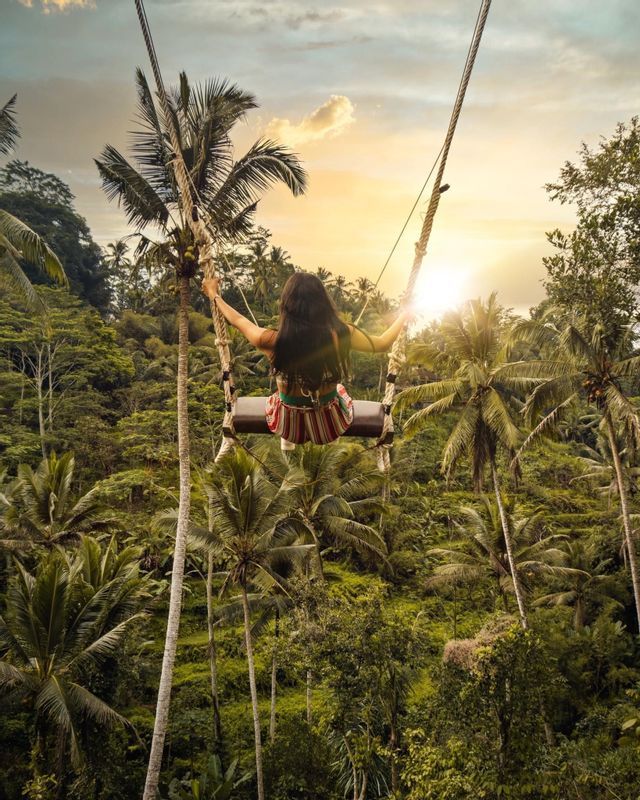 A person seen from behind on a large swing, flying high above a tropical forest filled with palm trees at sunset.
