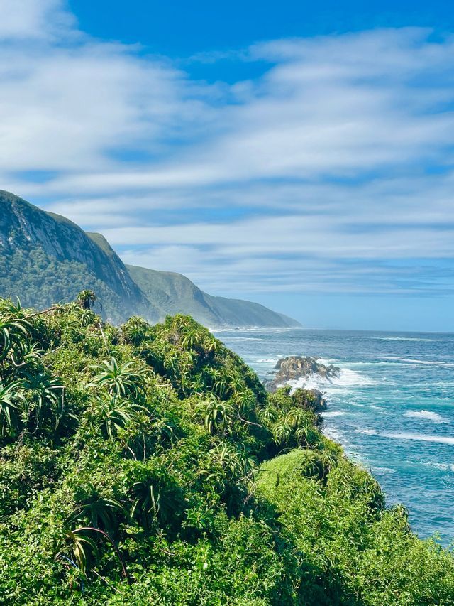 Végétation côtière luxuriante surplombant un littoral rocheux et les vagues de l'océan sous un ciel bleu partiellement nuageux.