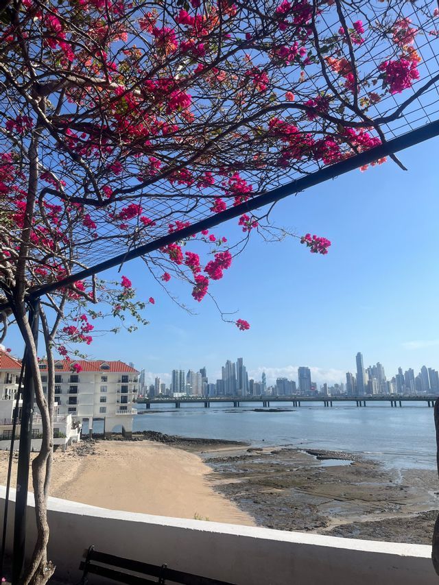 Panama City skyline from Casco Viejo The Panama City skyline seen across the bay from Casco Viejo