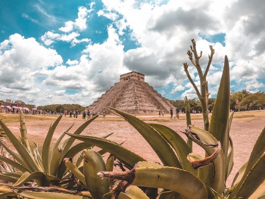 Una vista en contrapicado de una gran pirámide escalonada maya desde detrás de plantas de agave verdes, con gente caminando en un campo bajo un cielo nublado.