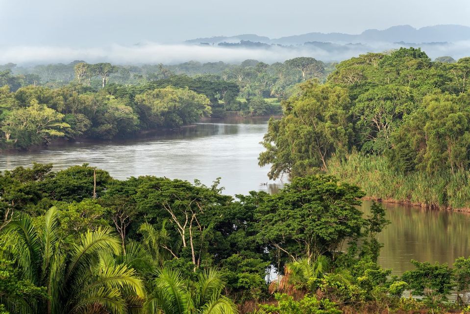 Un río ancho serpentea a través de una densa selva verde, con montañas neblinosas visibles en la distancia.