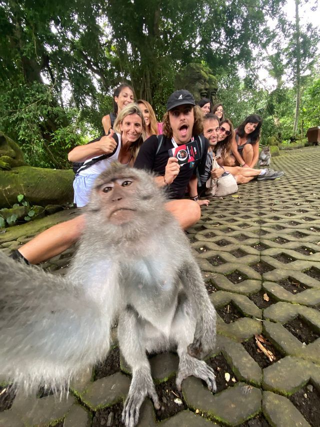 A monkey takes a selfie with a smiling WeRoad group trip posing behind it on a paved path in a forest.