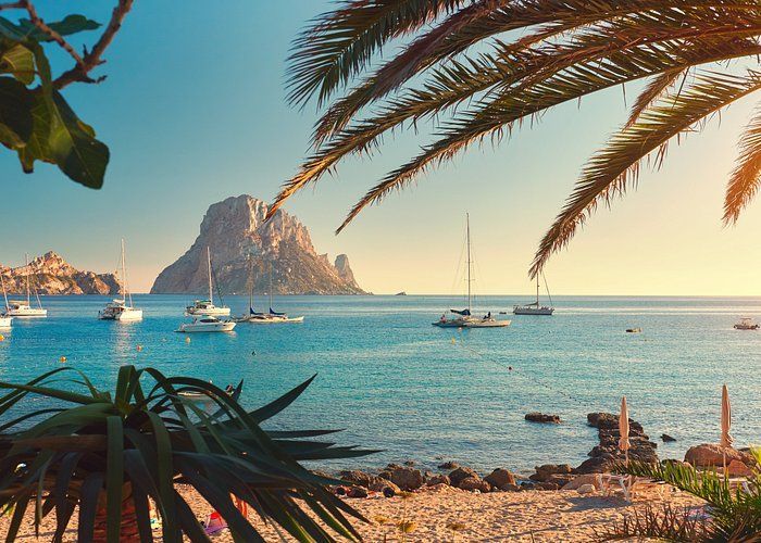 Barche a vela ancorate in una baia calma e turchese di fronte a una grande isola rocciosa, incorniciate da fronde di palma al tramonto.