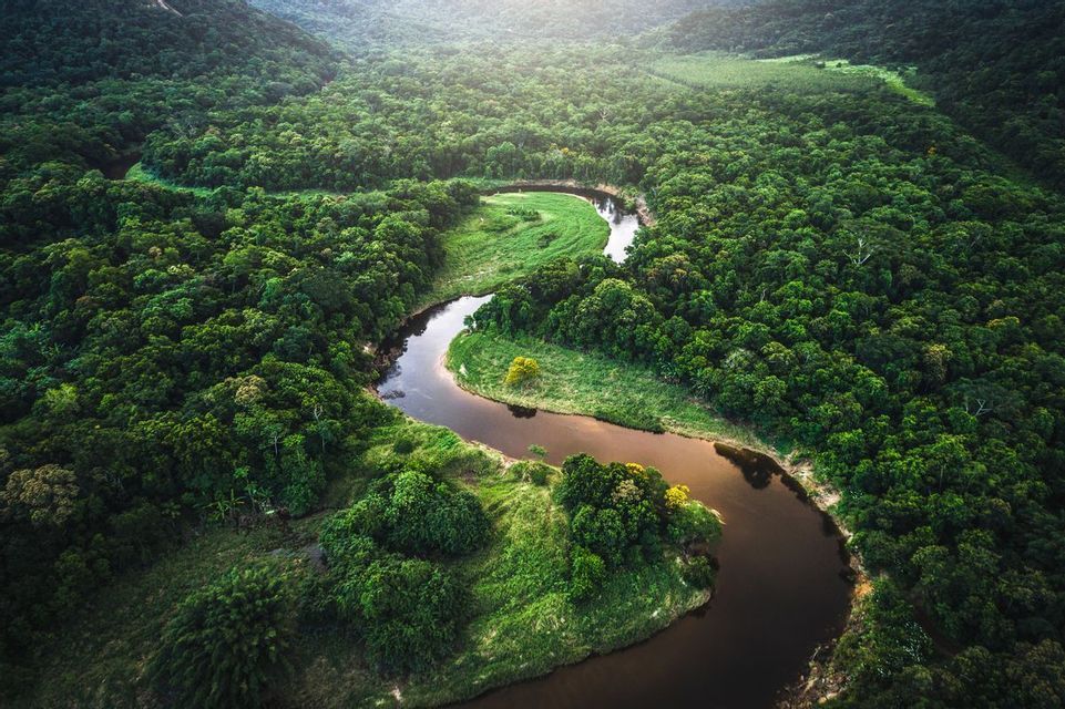 An aerial shot of a dark river winding through a dense, lush green forest that stretches to the horizon.