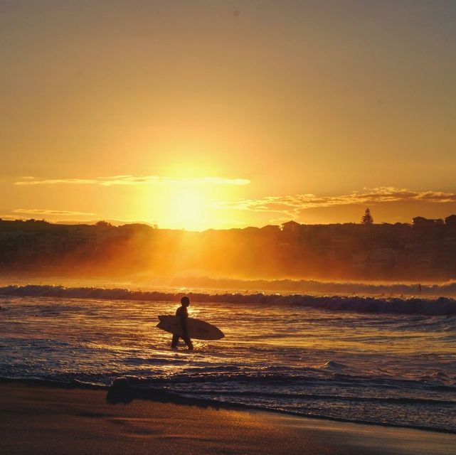 A silhouetted surfer carries a surfboard while walking in the shallow ocean waves during a golden sunset.
