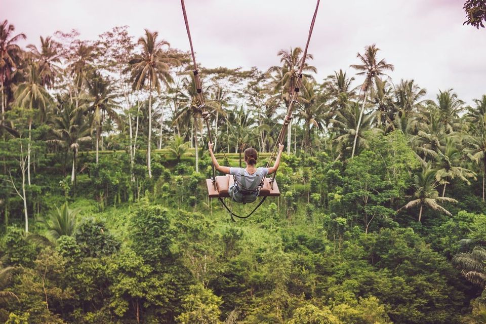 A person, seen from the back, rides a large wooden swing over a dense jungle canopy of palm trees.