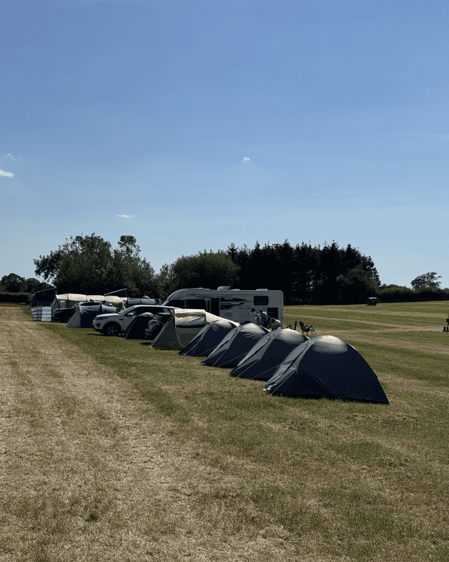 A long row of camping tents and recreational vehicles lined up on a grassy field under a clear sky.