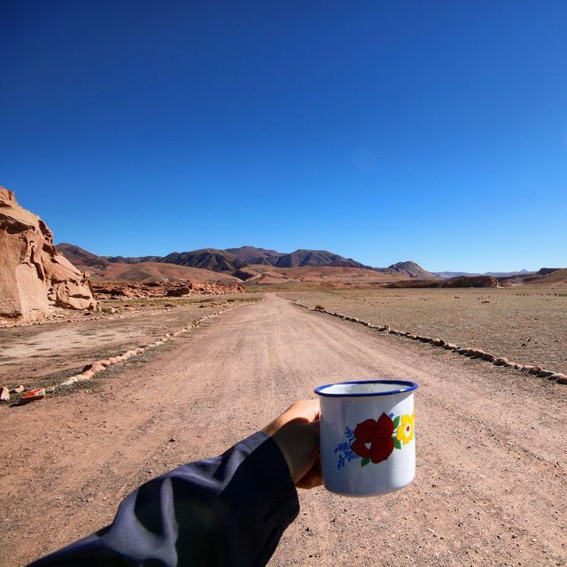 Una vista in prima persona di una mano che tiene una tazza smaltata bianca con fiori, sopra una strada sterrata in un paesaggio desertico.