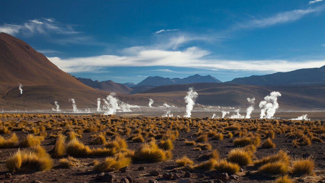 Pennacchi di vapore si innalzano da un campo di geyser in una valle montuosa arida con ciuffi d'erba gialli in primo piano.