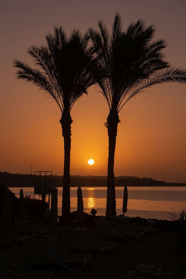 Zwei Palmen vor einem orangefarbenen Sonnenaufgang über ruhigem Meer an einem Küstenstrand.