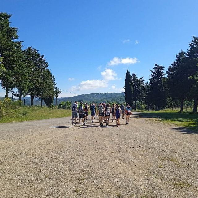 Un viaggio di gruppo WeRoad con zaini in spalla che percorre un'ampia strada sterrata fiancheggiata da cipressi sotto un cielo azzurro e limpido.